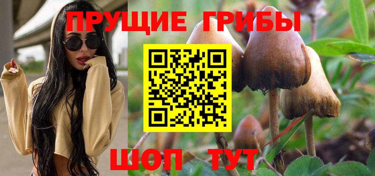 Слободской  Псилоцибиновые грибы Magic Shrooms  Галлюциногенные грибы Psilocybine cubensis  Вход с VPN 